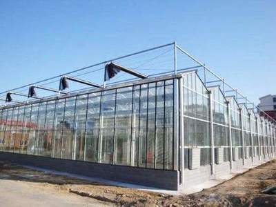 玻璃溫室與溫室大棚 壽光玻璃溫室大棚建造廠家的專業解讀
