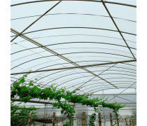 養殖大棚與溫室大棚 現代農業的科技溫室與生態養殖新篇章