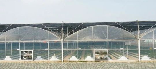 氣溫如何影響農業生產？溫室與陰陽棚的應對之道