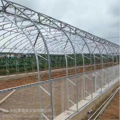 雙膜骨架溫室大棚 民泰引領現代設施農業，助力蔬菜花卉全國種植