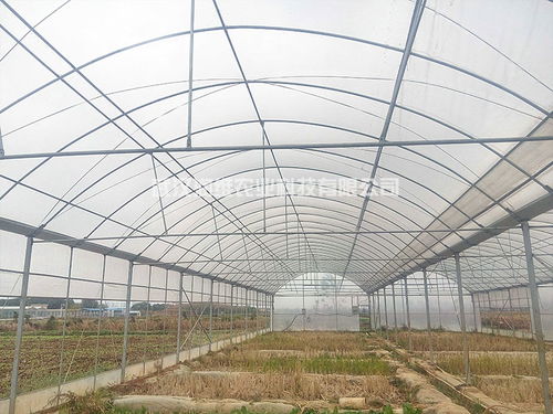 竹溪玻璃智能溫室大棚施工與設計全解析